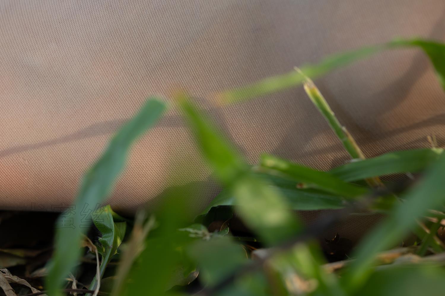 图片[87]-尤密思 No.123 穿搭推广展示图集 [90P] – 速更版-美库