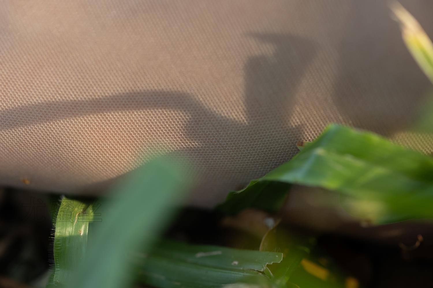 图片[88]-尤密思 No.123 穿搭推广展示图集 [90P] – 速更版-美库