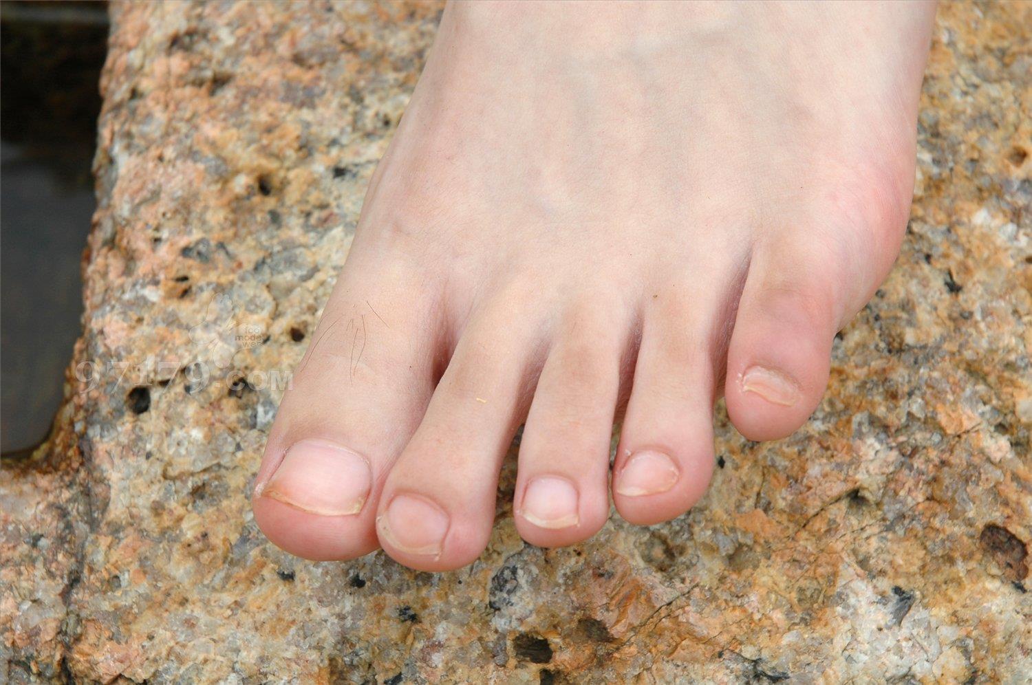 图片[44]-97179 NO.008-Susie 阳光与大石 [135P] – 速更版-美库