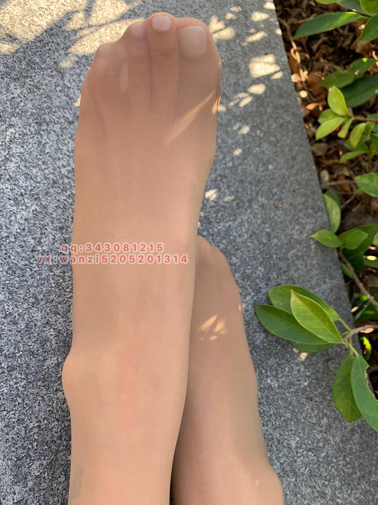 图片[50]-微信朋友圈达人@Changeable丸子-定制系列 NO.030-开裆油亮guidi [105P] – 速更版-美库