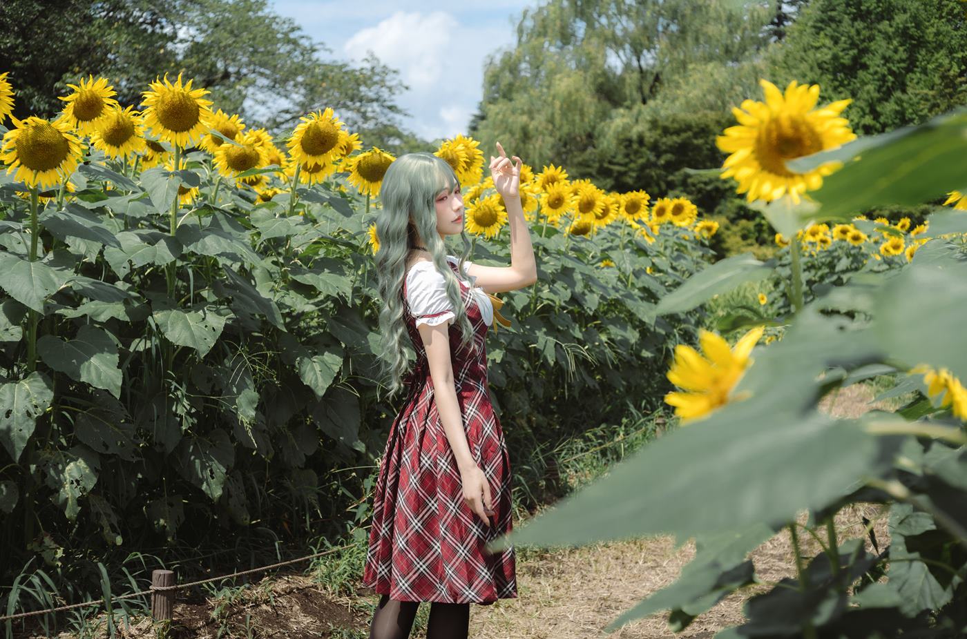 图片[14]-Ely_eee(ElyEE子)  – Kazami Yuuka 幽香花海[38P] – 速更版-美库