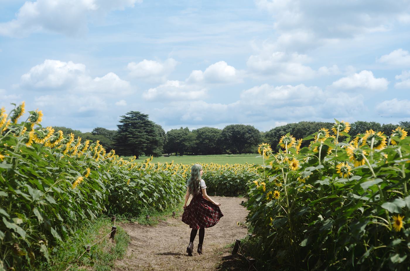 图片[19]-Ely_eee(ElyEE子)  – Kazami Yuuka 幽香花海[38P] – 速更版-美库