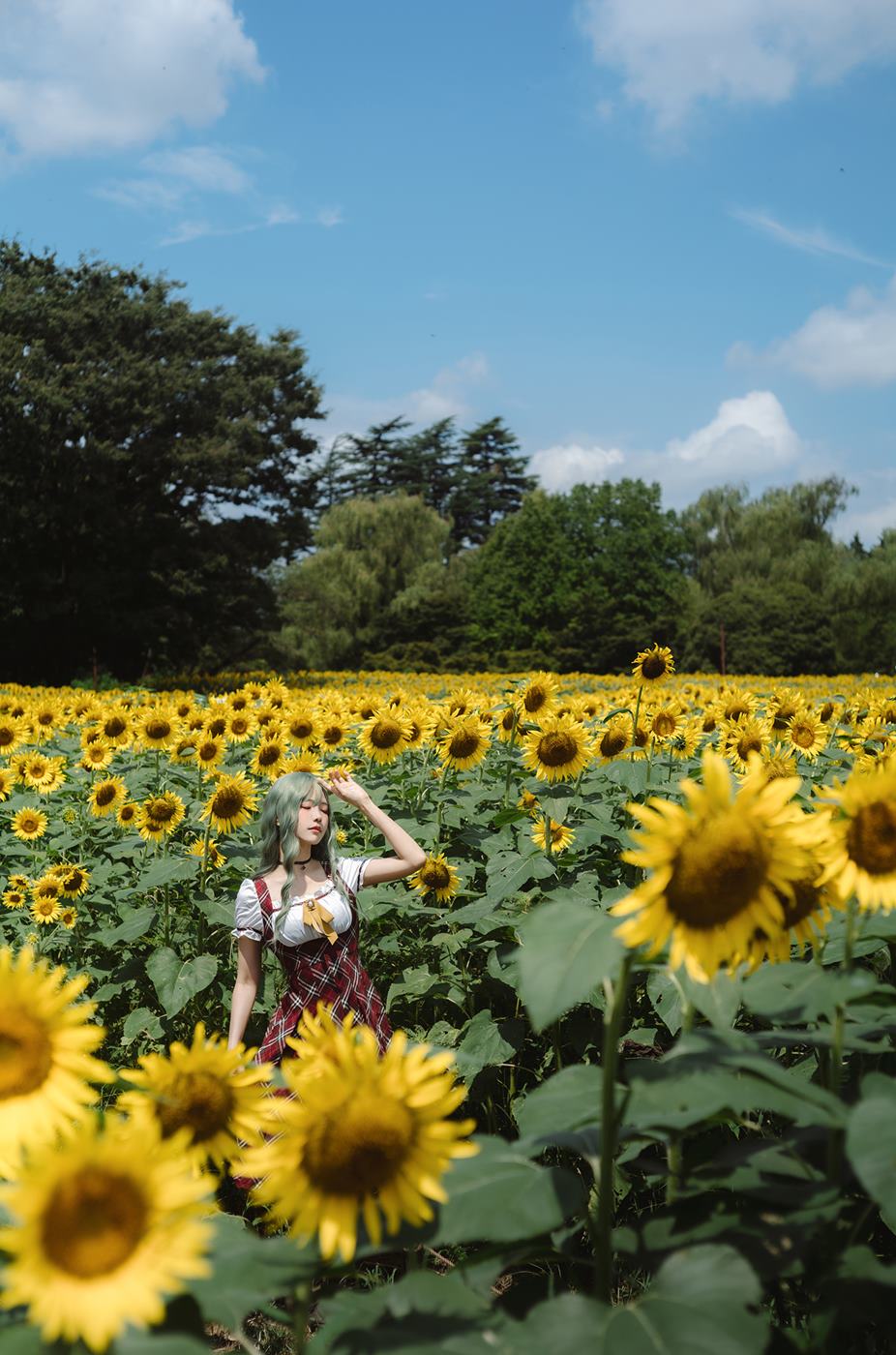 图片[24]-Ely_eee(ElyEE子)  – Kazami Yuuka 幽香花海[38P] – 速更版-美库