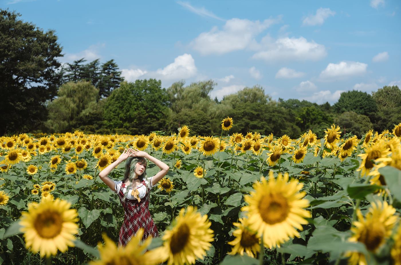 图片[25]-Ely_eee(ElyEE子)  – Kazami Yuuka 幽香花海[38P] – 速更版-美库