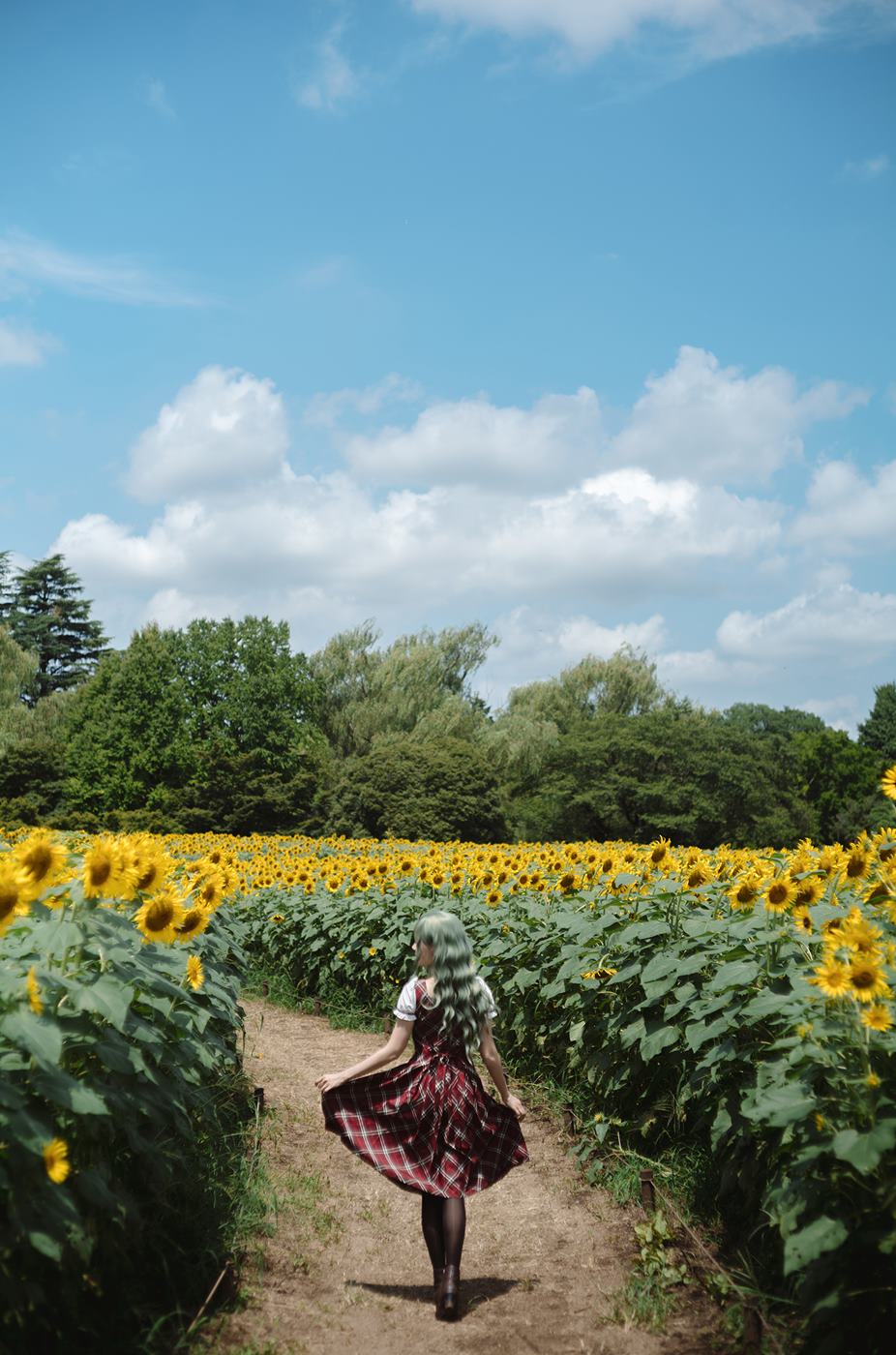 图片[33]-Ely_eee(ElyEE子)  – Kazami Yuuka 幽香花海[38P] – 速更版-美库