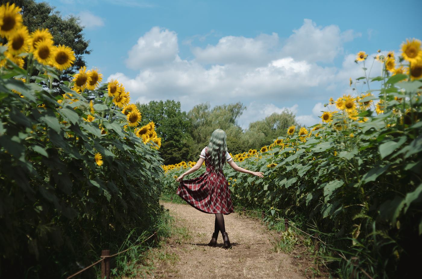 图片[34]-Ely_eee(ElyEE子)  – Kazami Yuuka 幽香花海[38P] – 速更版-美库