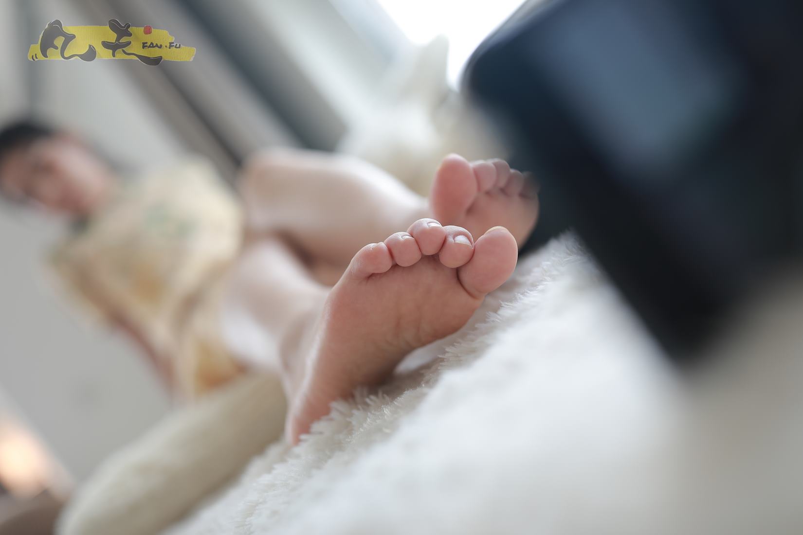 图片[101]-凡夫摄影 NO.0008 – 静丽 青灯古曲[264P] – 速更版-美库