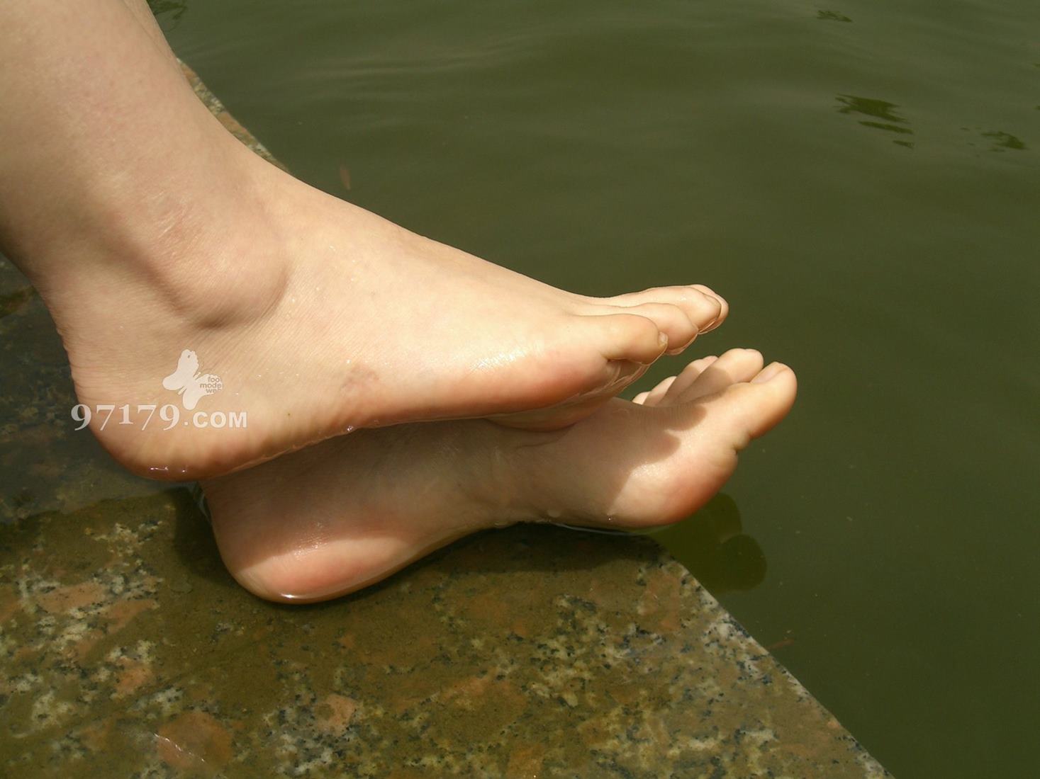 图片[29]-97179 NO.003-芭比公主[101P] – 速更版-美库