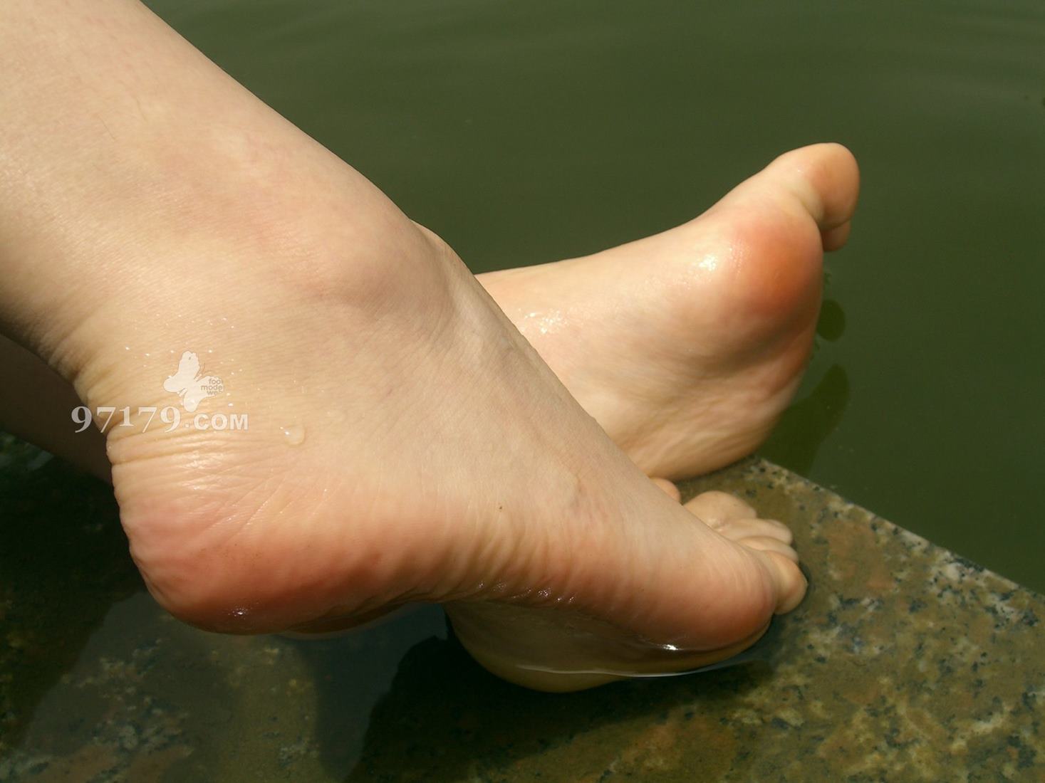 图片[30]-97179 NO.003-芭比公主[101P] – 速更版-美库