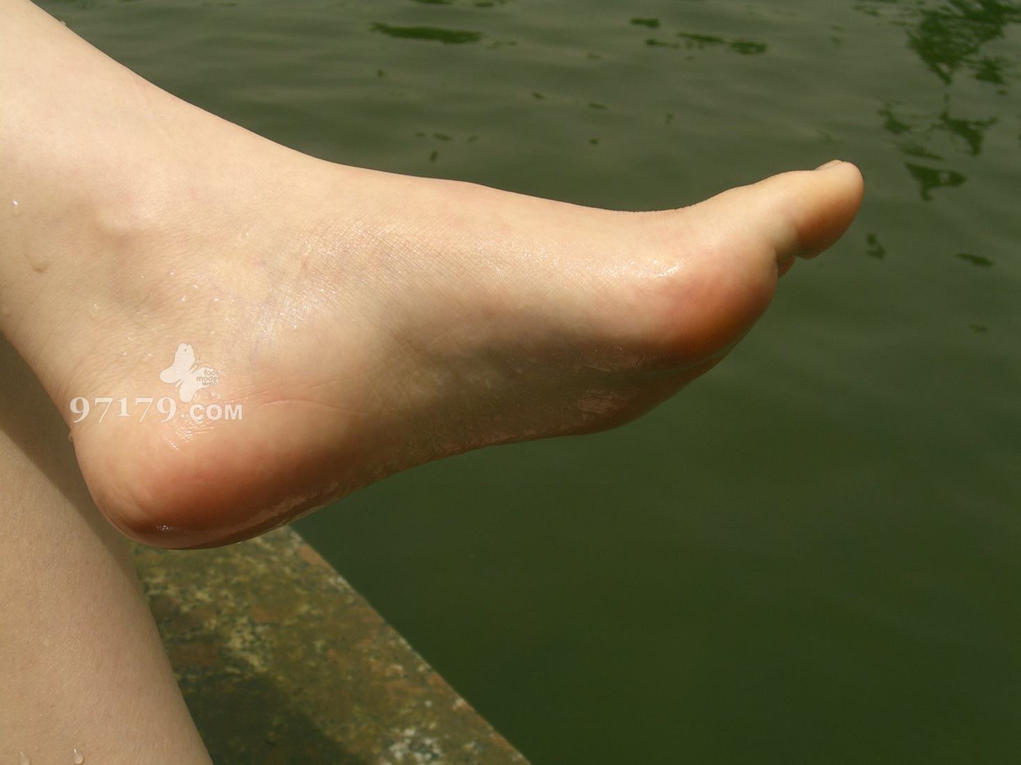 图片[32]-97179 NO.003-芭比公主[101P] – 速更版-美库