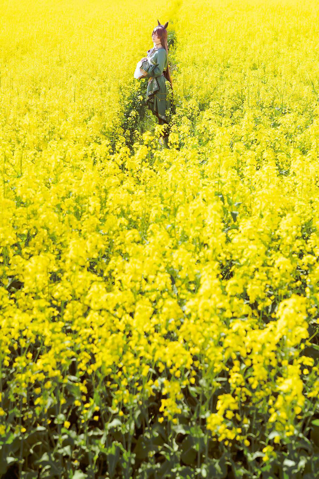 图片[17]-星之迟迟  – 赛马娘 里见光钻 梦想的回应[48P] – 速更版-美库