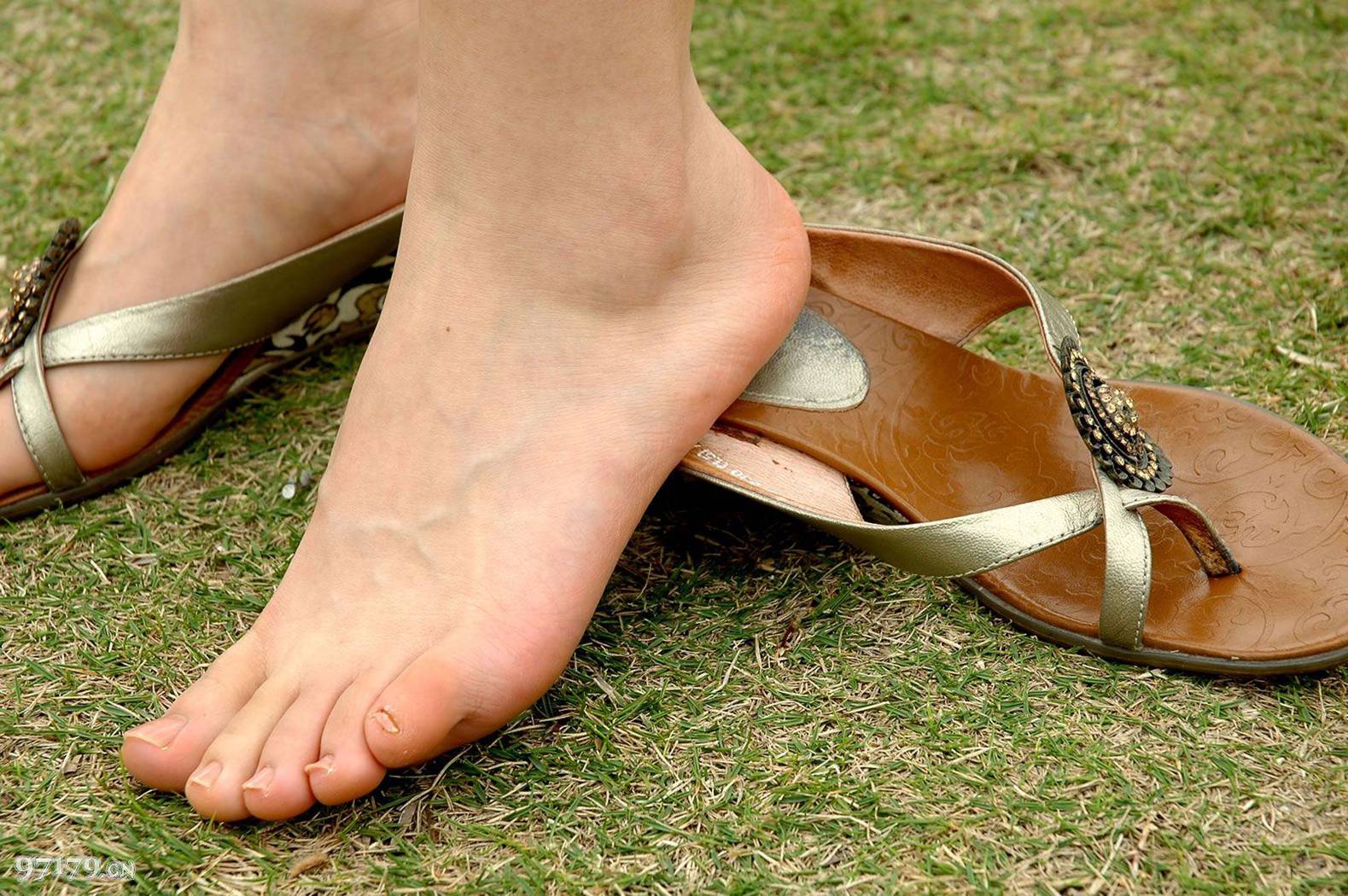 图片[12]-97179 NO.003-黛米恩[39P] – 速更版-美库