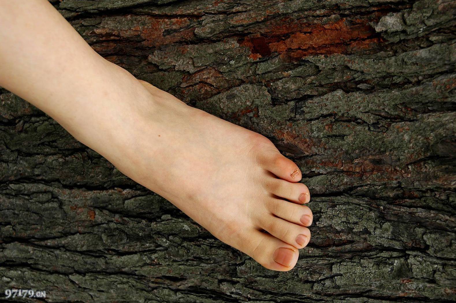 图片[53]-97179 NO.002-黛米恩[61P] – 速更版-美库