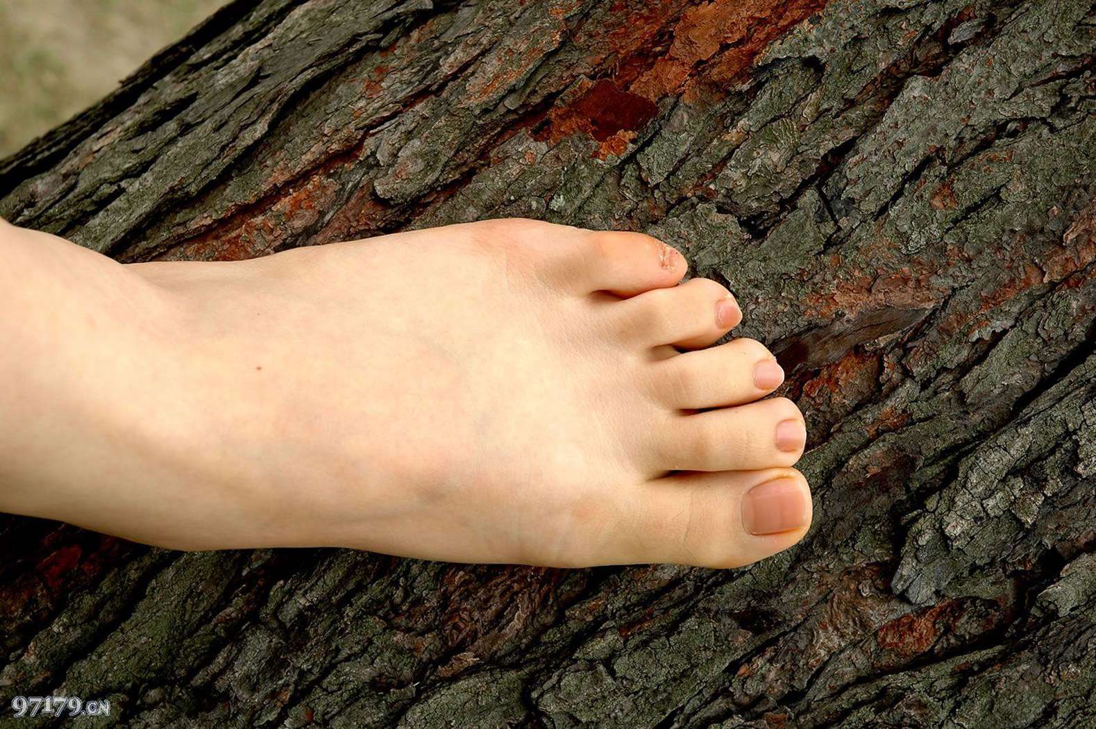 图片[58]-97179 NO.002-黛米恩[61P] – 速更版-美库