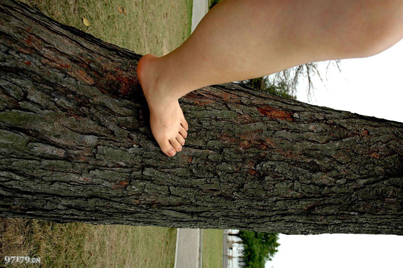 图片[61]-97179 NO.002-黛米恩[61P] – 速更版-美库