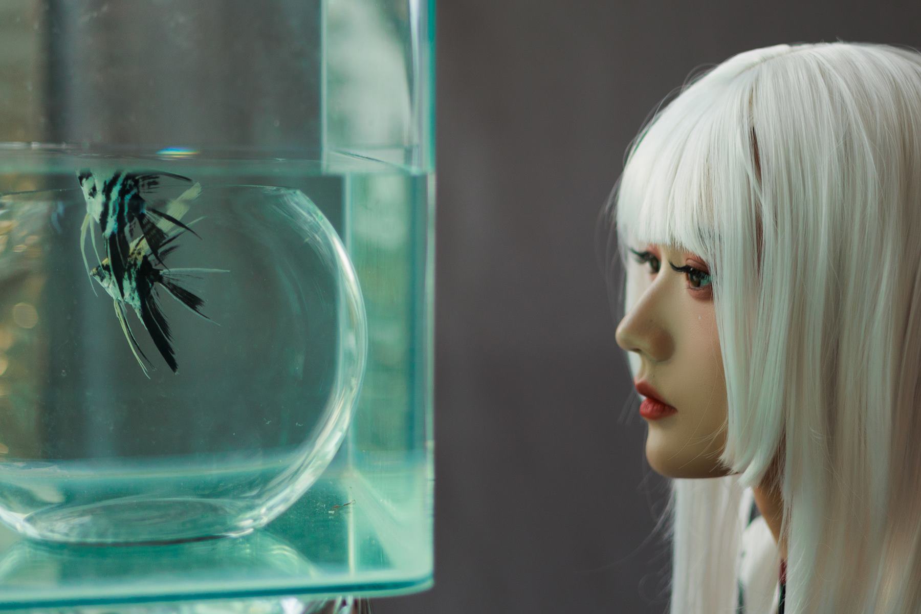 图片[27]-人气Coser@兔子Zzz不吃胡萝卜 白发姬 [42P] – 速更版-美库