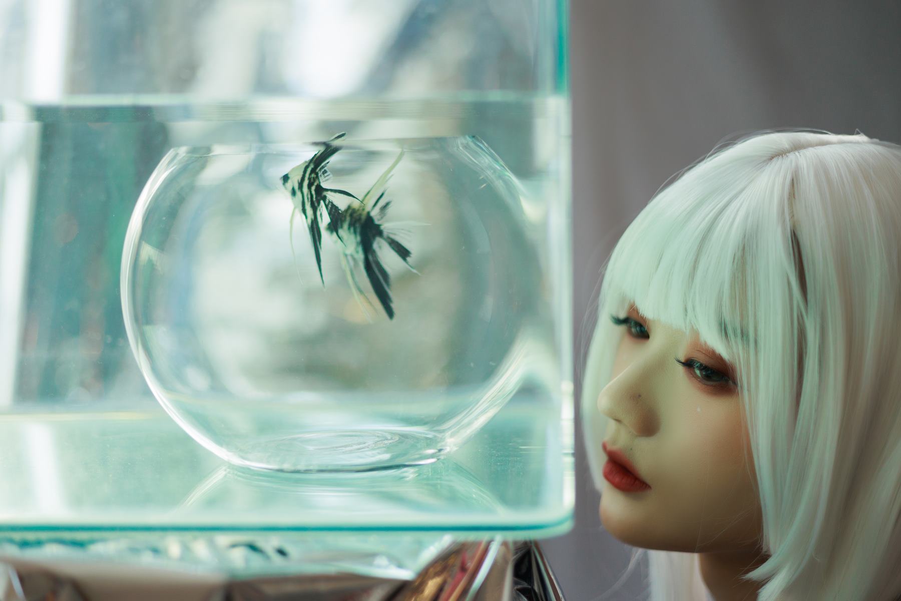 图片[28]-人气Coser@兔子Zzz不吃胡萝卜 白发姬 [42P] – 速更版-美库