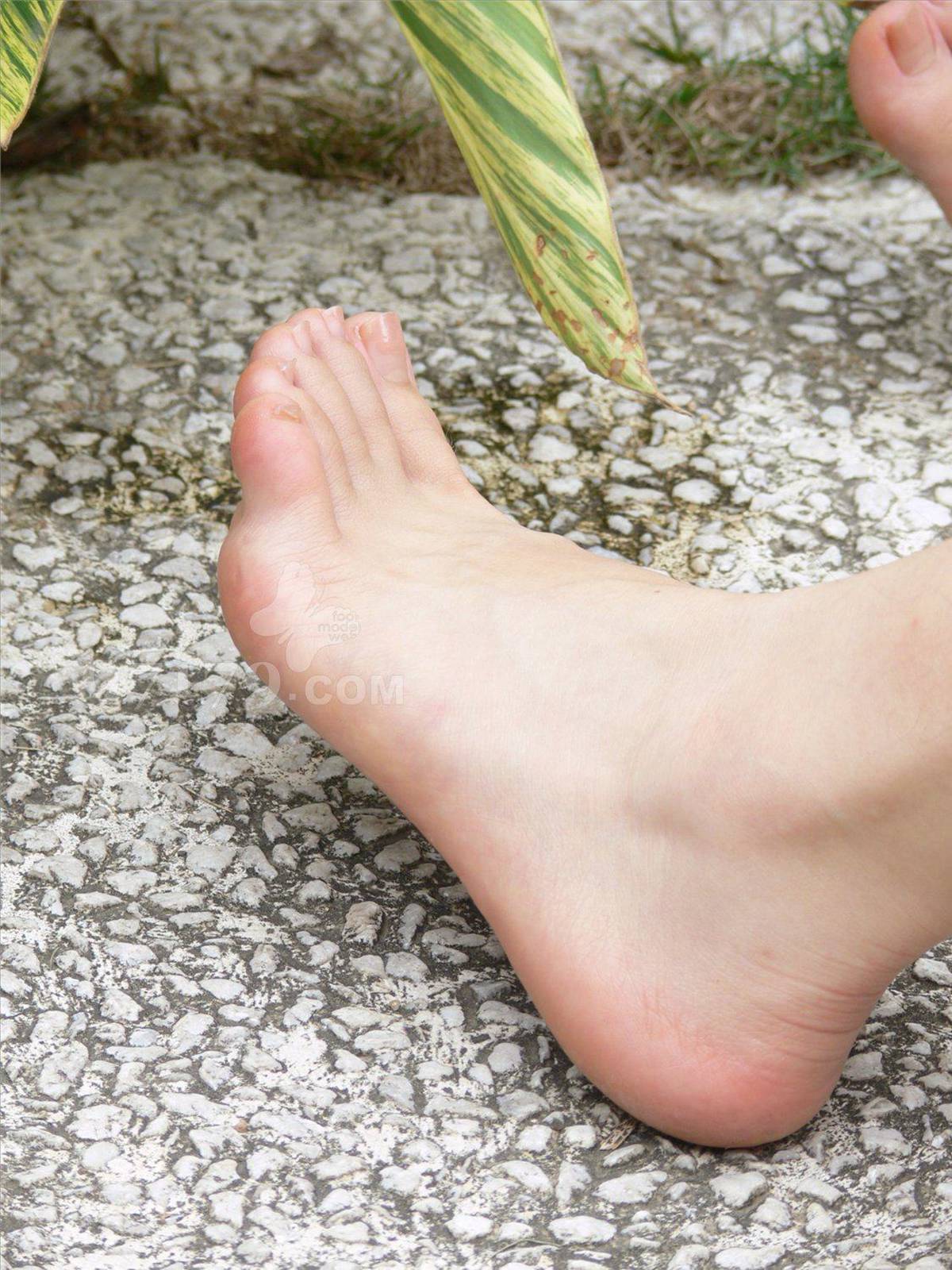 图片[52]-97179 NO.011-黛米恩 气质祼足[73P] – 速更版-美库