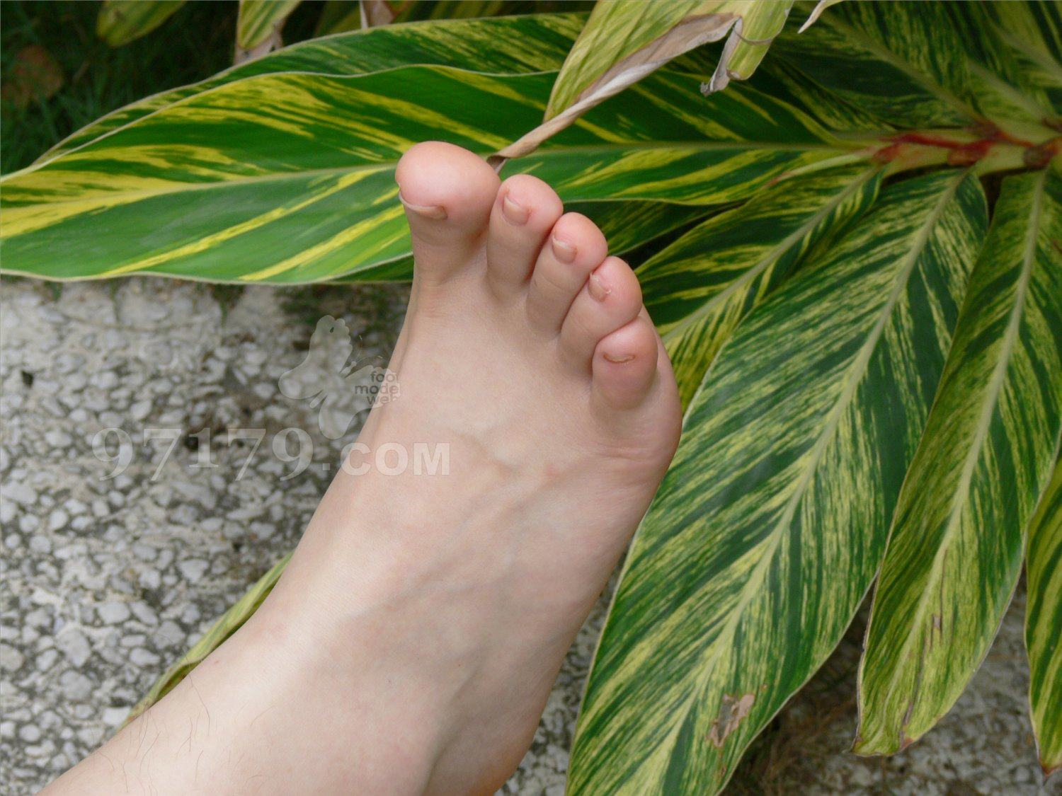 图片[55]-97179 NO.011-黛米恩 气质祼足[73P] – 速更版-美库