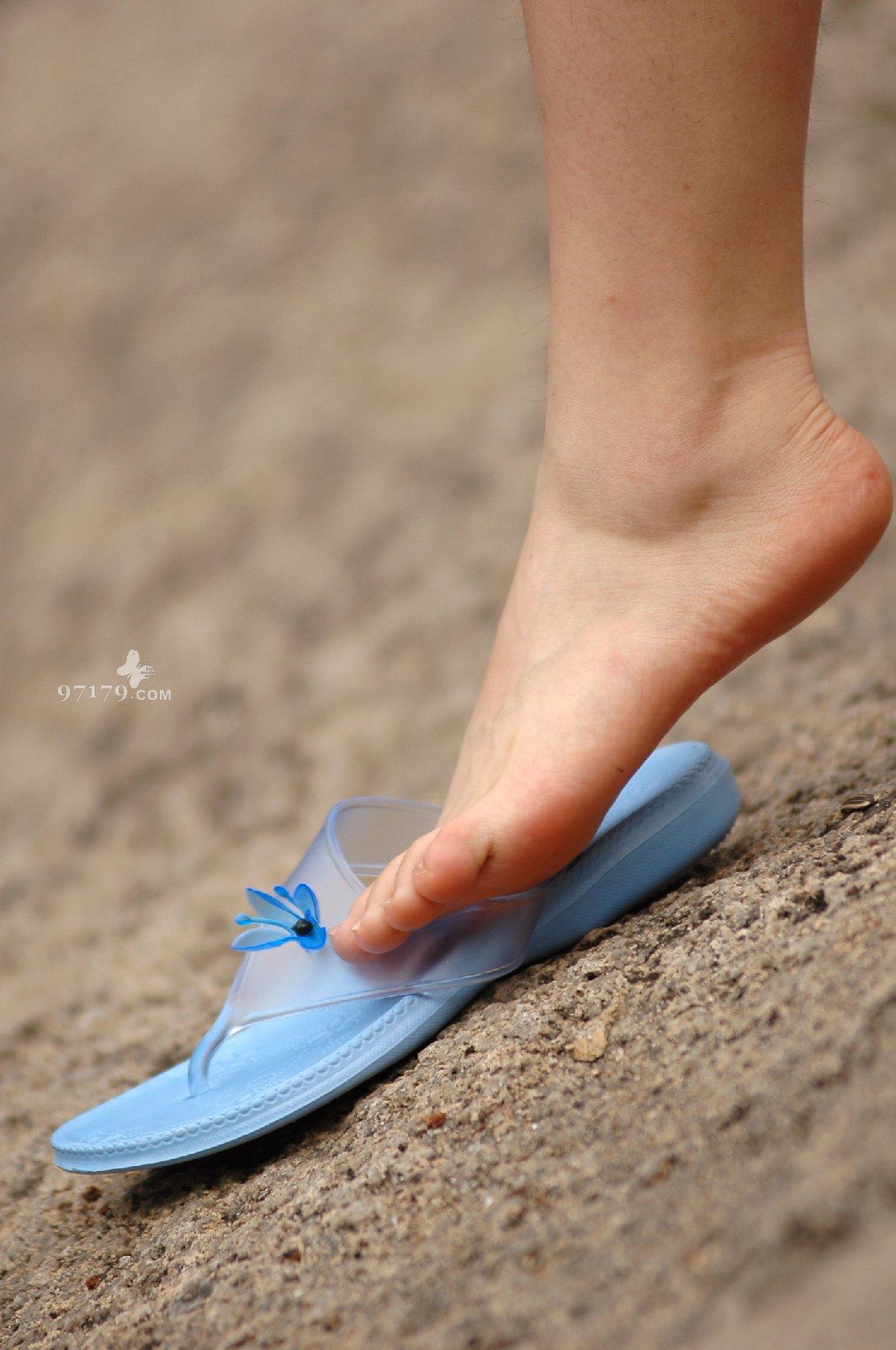 图片[10]-97179 NO.014-黛米恩 凉拖[113P] – 速更版-美库