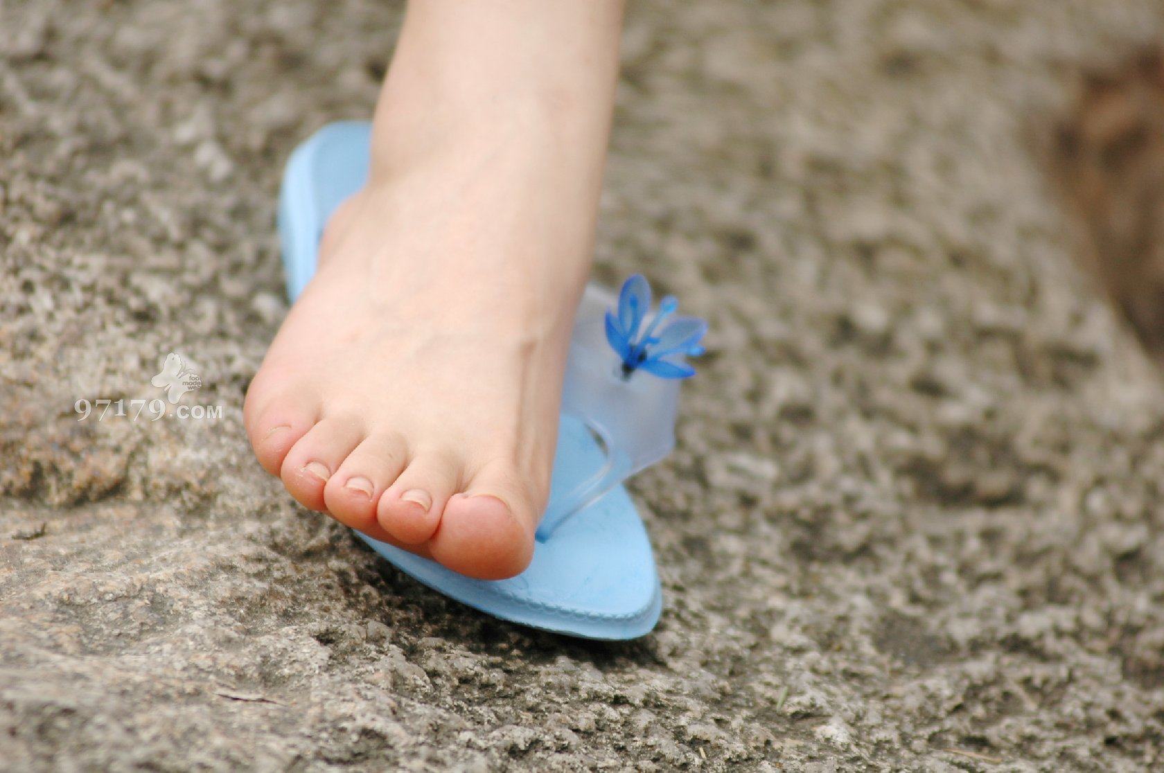 图片[23]-97179 NO.014-黛米恩 凉拖[113P] – 速更版-美库