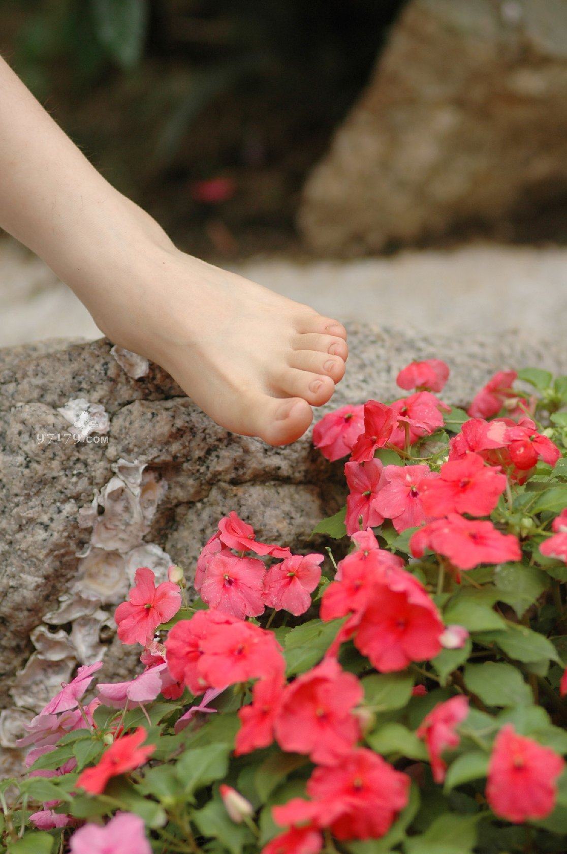 图片[53]-97179 NO.014-黛米恩 凉拖[113P] – 速更版-美库