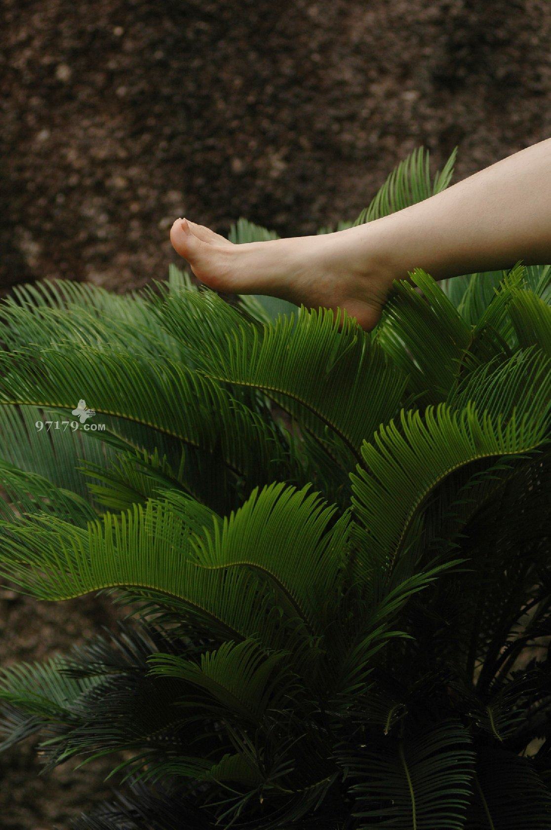 图片[58]-97179 NO.014-黛米恩 凉拖[113P] – 速更版-美库