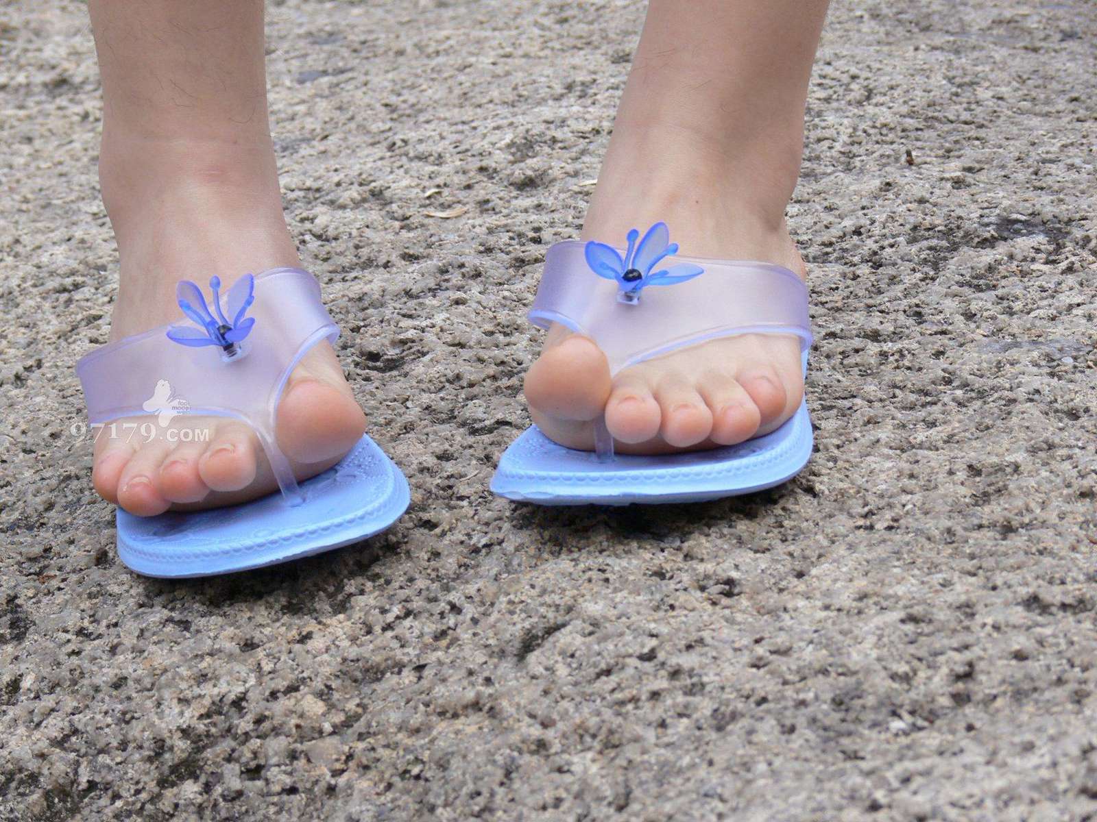 图片[63]-97179 NO.014-黛米恩 凉拖[113P] – 速更版-美库