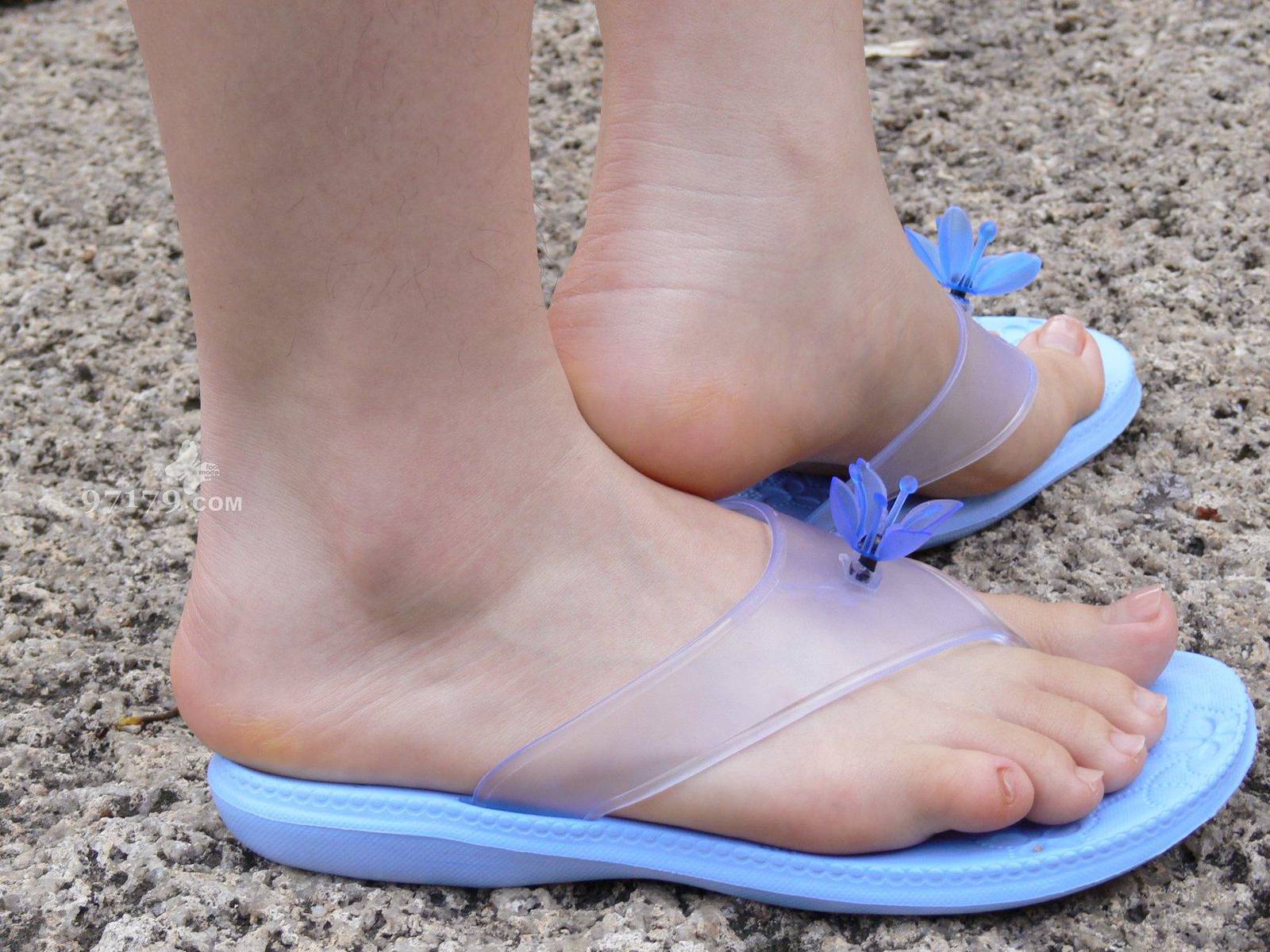 图片[65]-97179 NO.014-黛米恩 凉拖[113P] – 速更版-美库