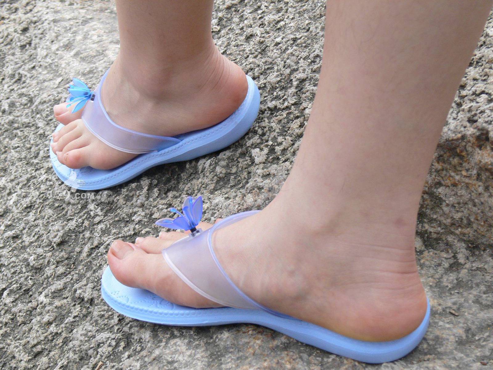 图片[78]-97179 NO.014-黛米恩 凉拖[113P] – 速更版-美库