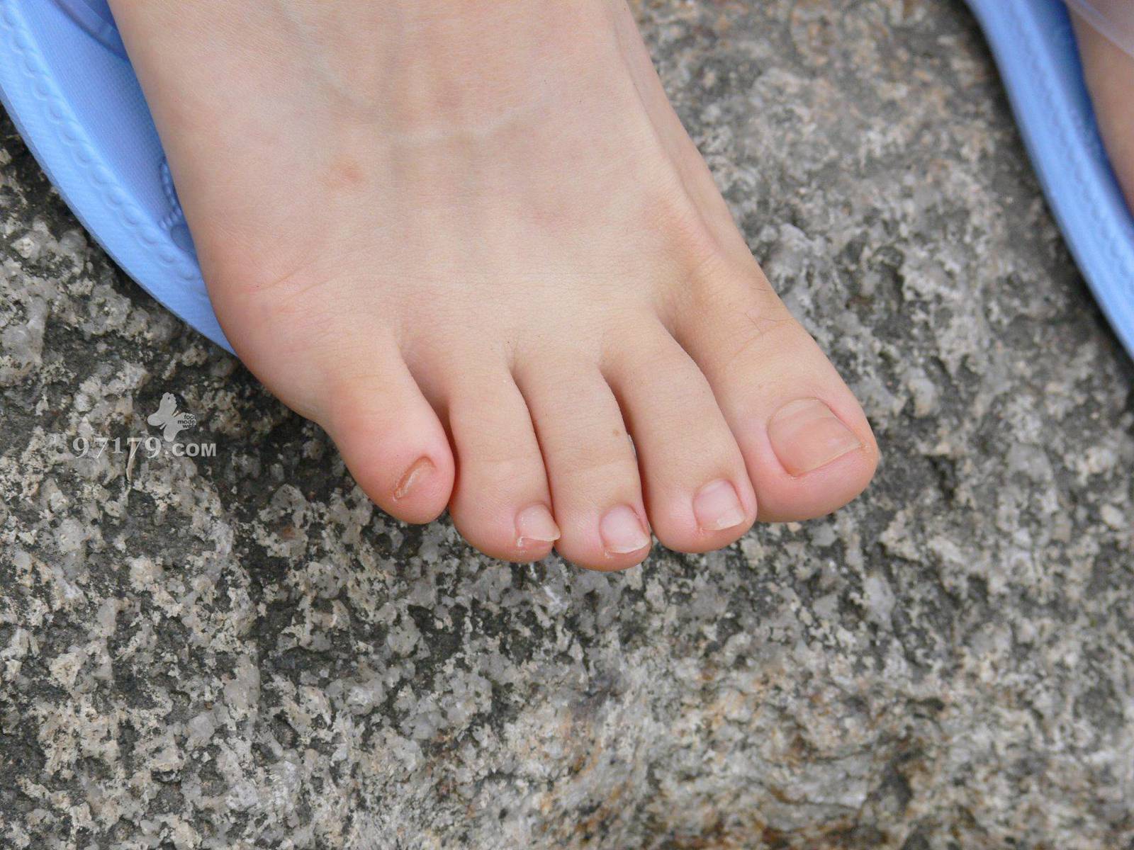 图片[80]-97179 NO.014-黛米恩 凉拖[113P] – 速更版-美库