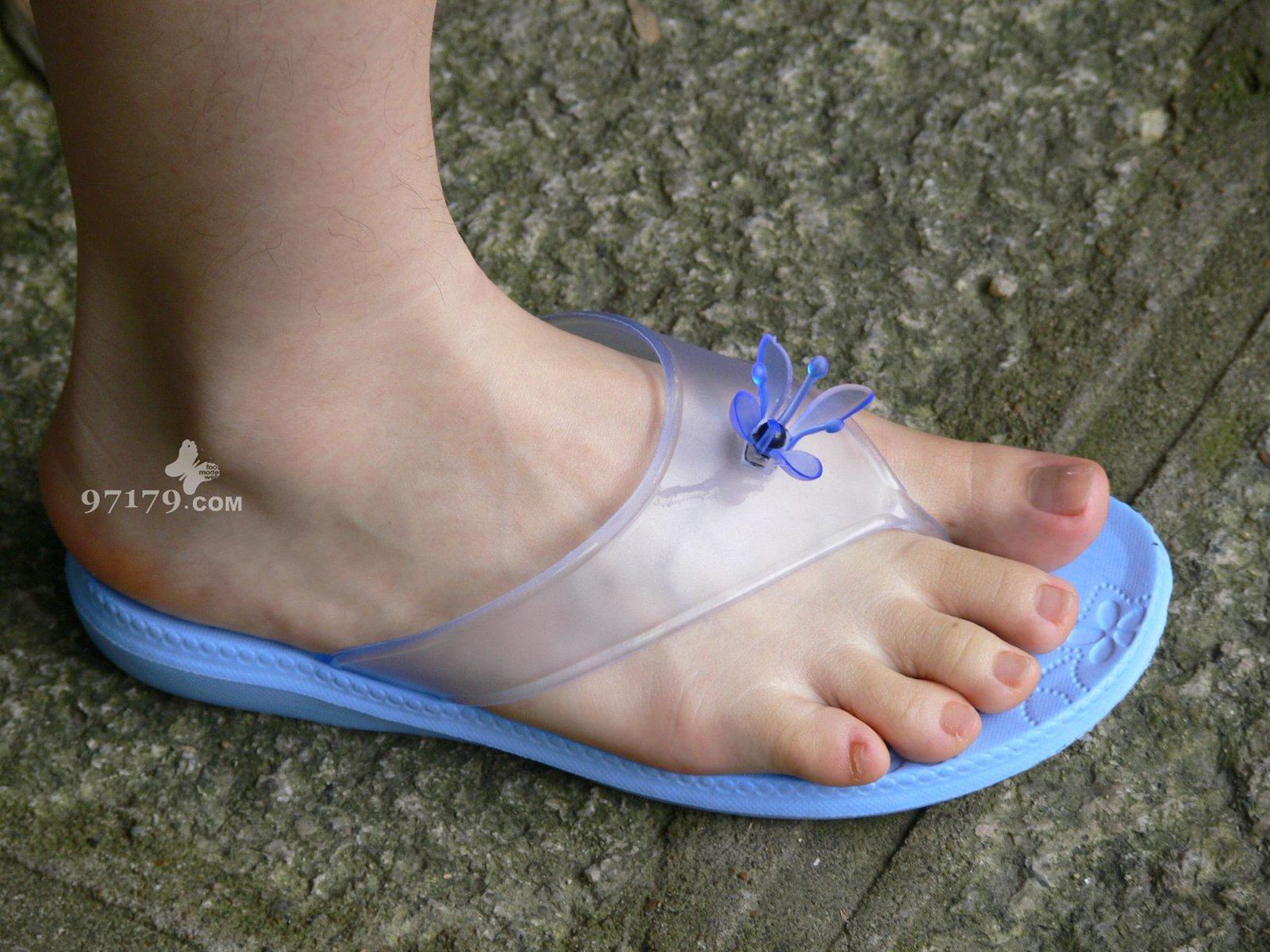 图片[91]-97179 NO.014-黛米恩 凉拖[113P] – 速更版-美库