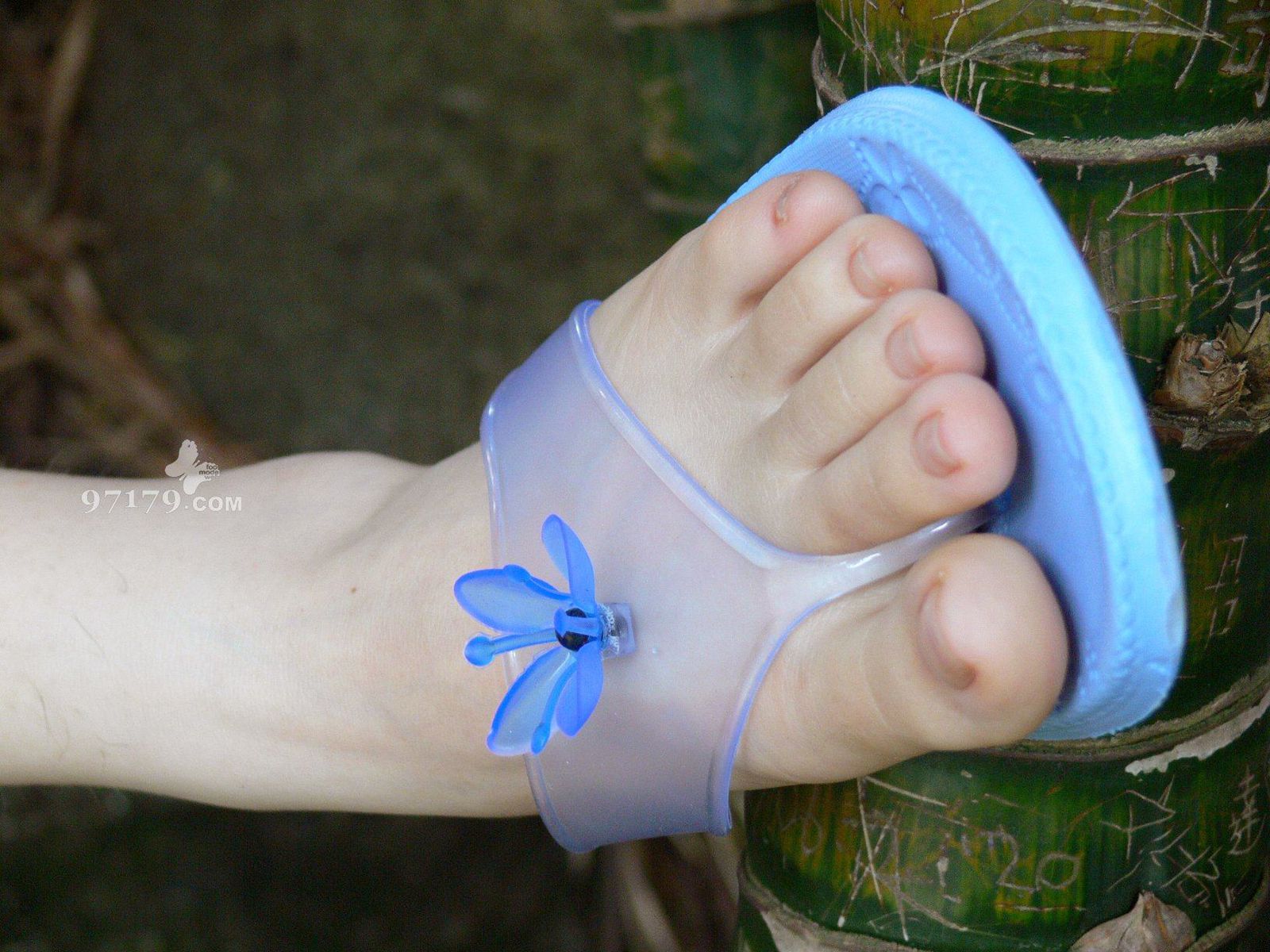 图片[95]-97179 NO.014-黛米恩 凉拖[113P] – 速更版-美库