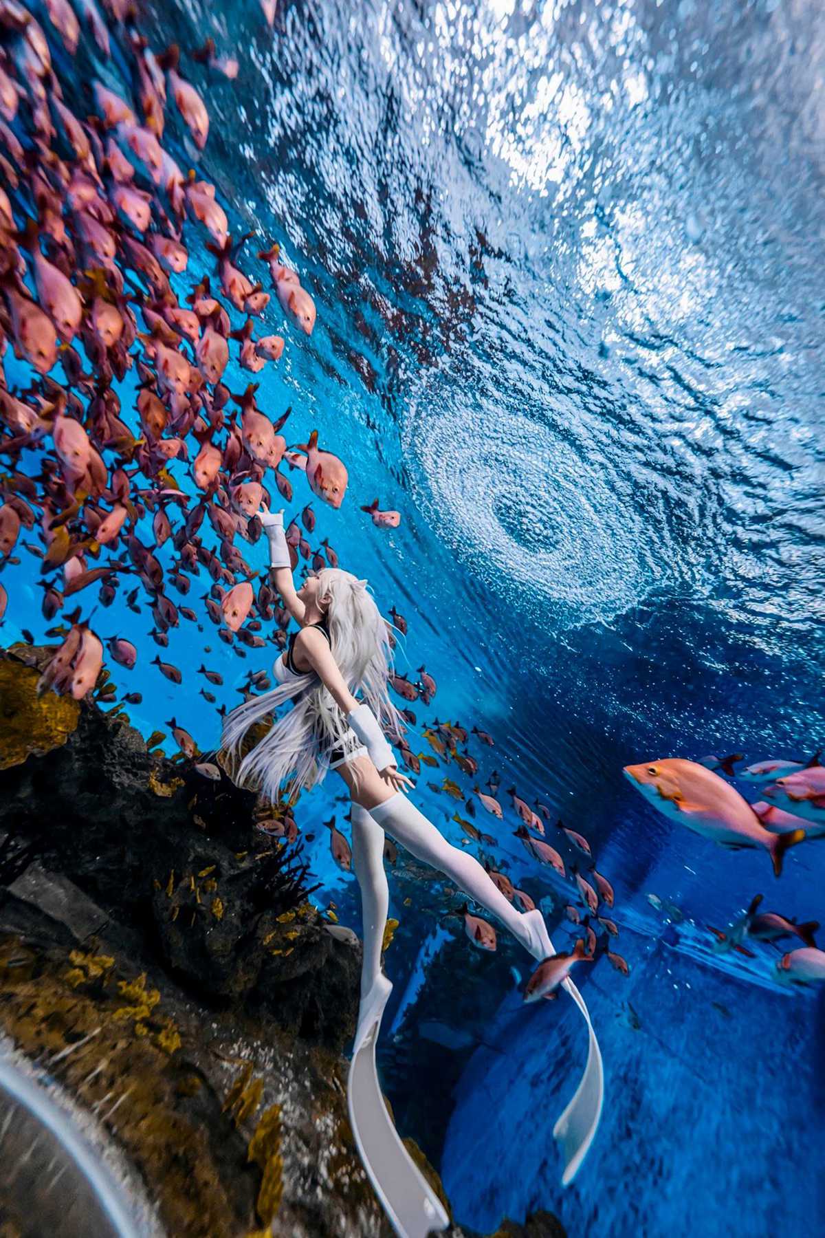 图片[23]-走路摇zly – 天选姬[37P] – 速更版-美库