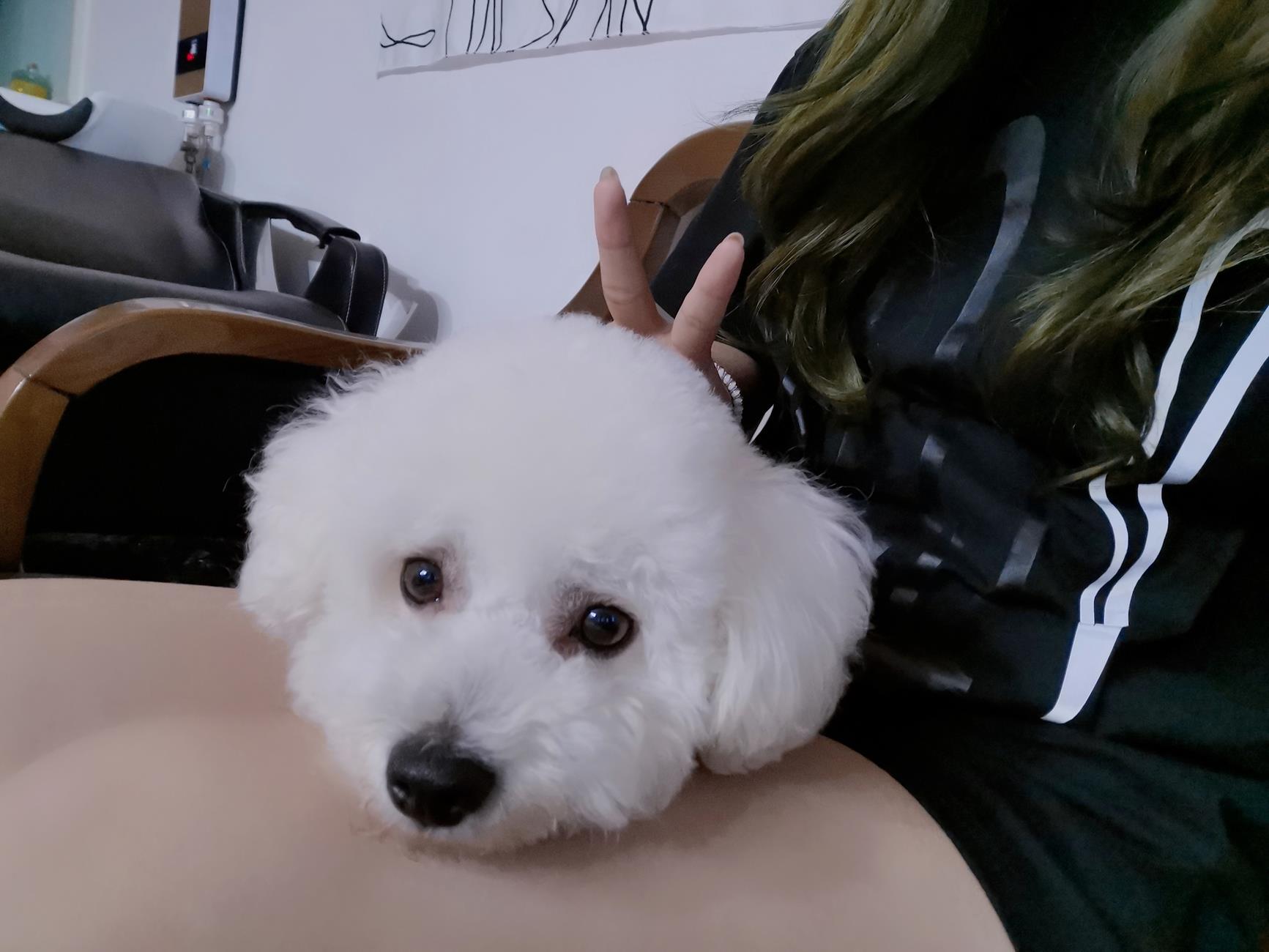 图片[73]-eloise软软 – 日常自拍[90P] – 速更版-美库