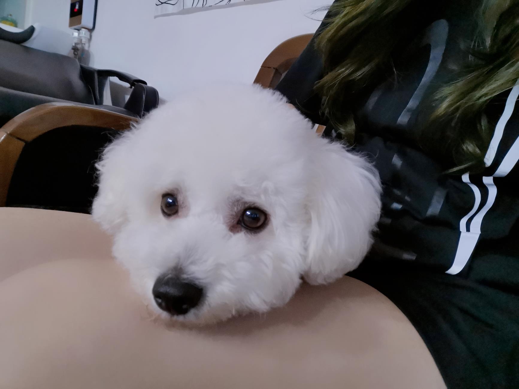 图片[77]-eloise软软 – 日常自拍[90P] – 速更版-美库