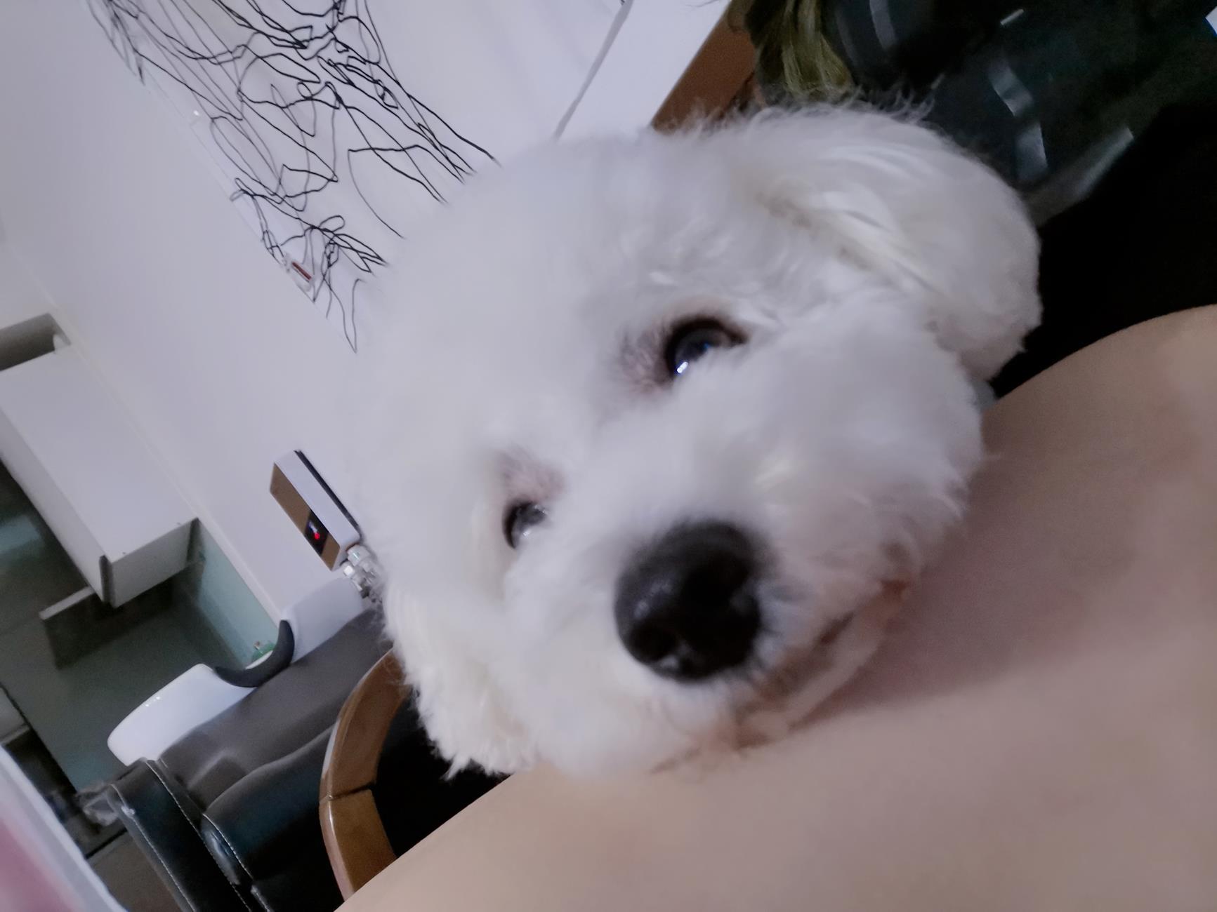 图片[78]-eloise软软 – 日常自拍[90P] – 速更版-美库