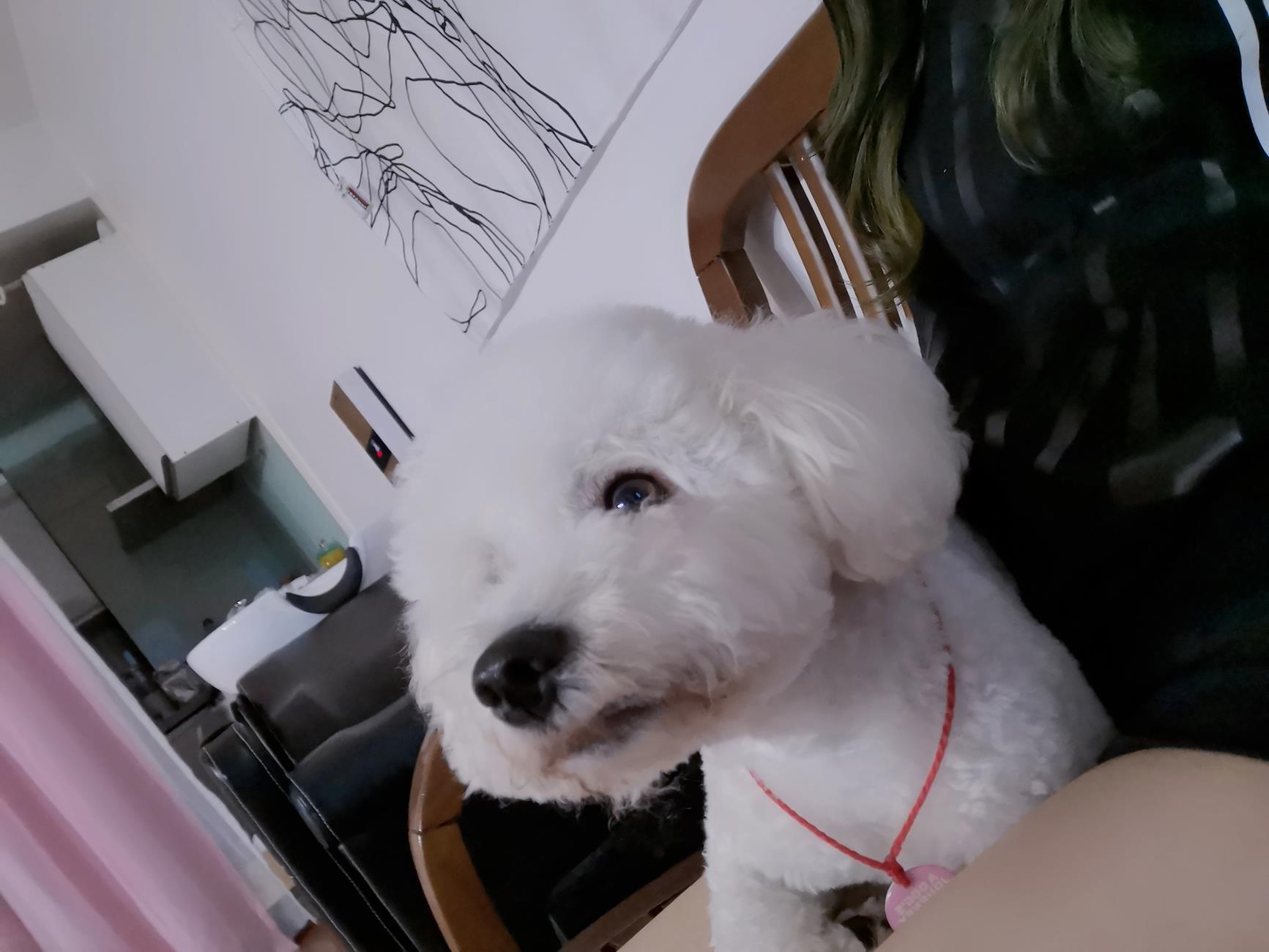 图片[79]-eloise软软 – 日常自拍[90P] – 速更版-美库