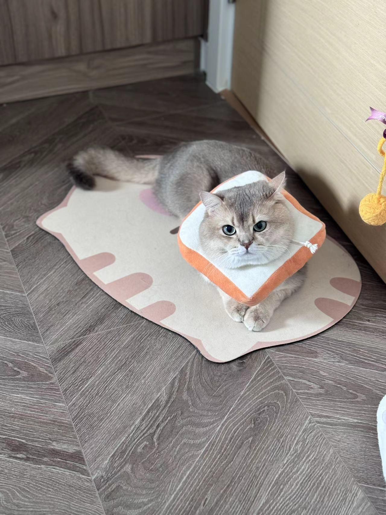 图片[11]-眼酱大魔王w  – 2024年07月fantia会员合集[27P] – 速更版-美库