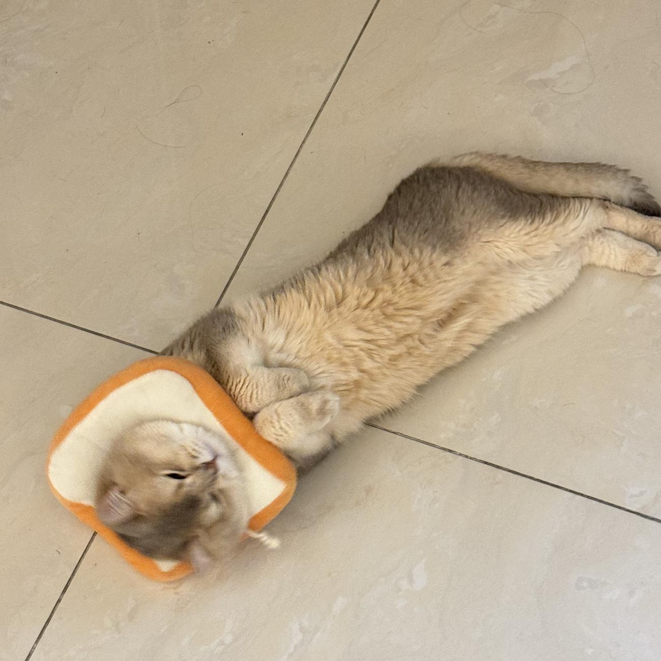 图片[16]-眼酱大魔王w  – 2024年07月fantia会员合集[27P] – 速更版-美库