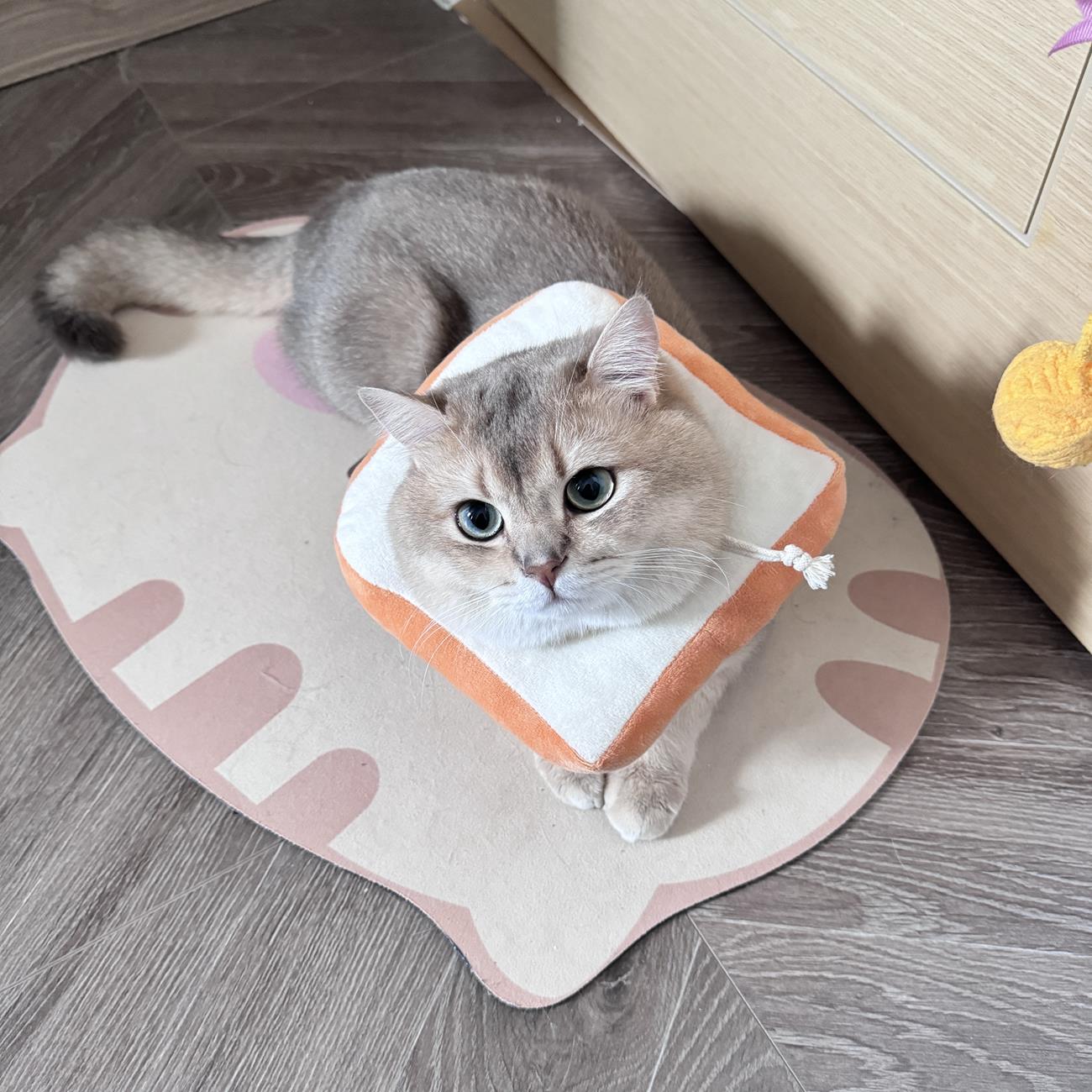 图片[19]-眼酱大魔王w  – 2024年07月fantia会员合集[27P] – 速更版-美库