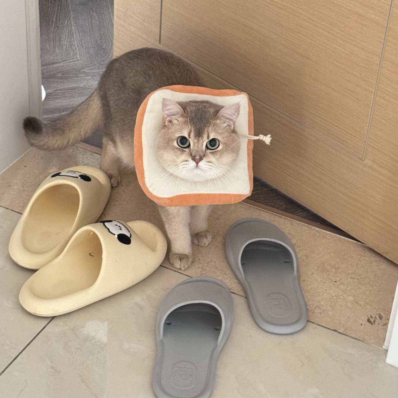 图片[20]-眼酱大魔王w  – 2024年07月fantia会员合集[27P] – 速更版-美库