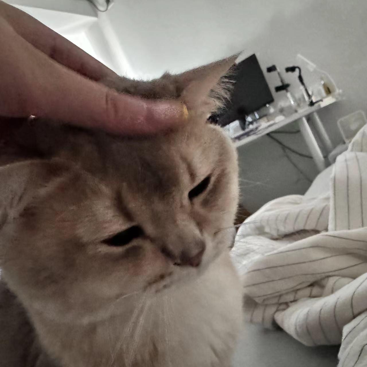 图片[27]-眼酱大魔王w  – 2024年07月fantia会员合集[27P] – 速更版-美库