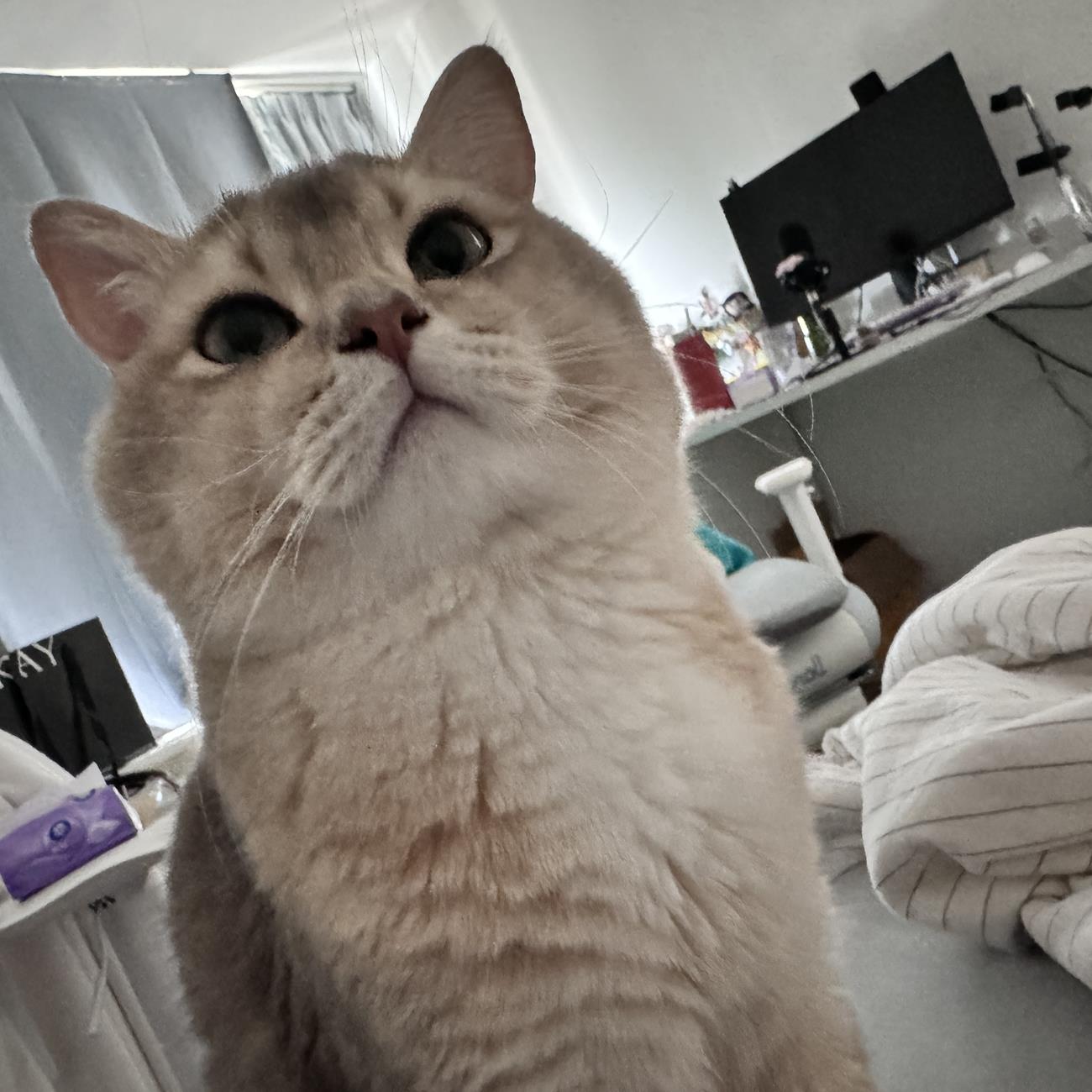 图片[28]-眼酱大魔王w  – 2024年07月fantia会员合集[27P] – 速更版-美库