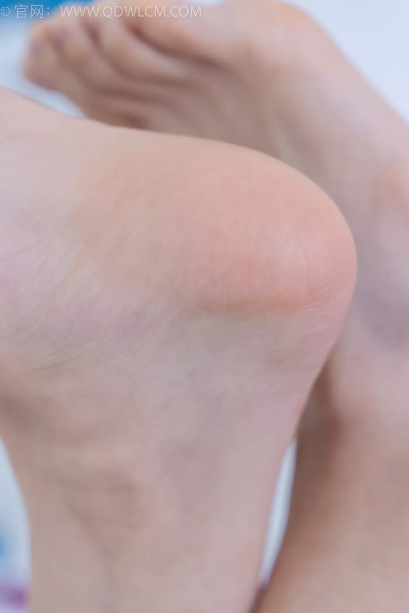 图片[83]-物恋传媒 NO.2196 茯苓-光影交错[100P] – 速更版-美库