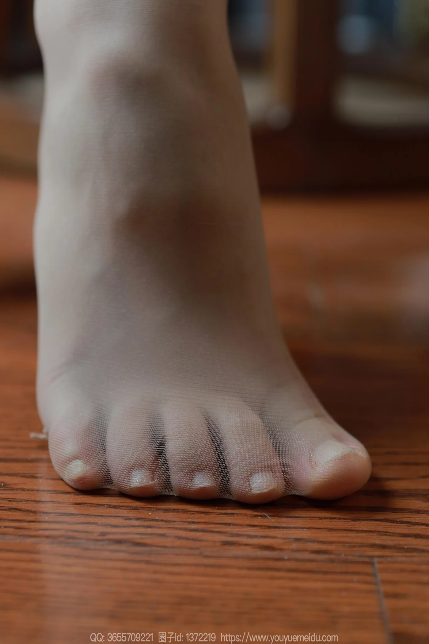 图片[51]-[IESS异思趣向] 2024.11.29 丝享家1911：小金《温婉如玉》[88P] – 速更版-美库