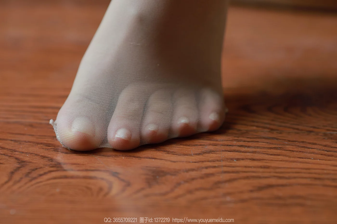 图片[52]-[IESS异思趣向] 2024.11.29 丝享家1911：小金《温婉如玉》[88P] – 速更版-美库