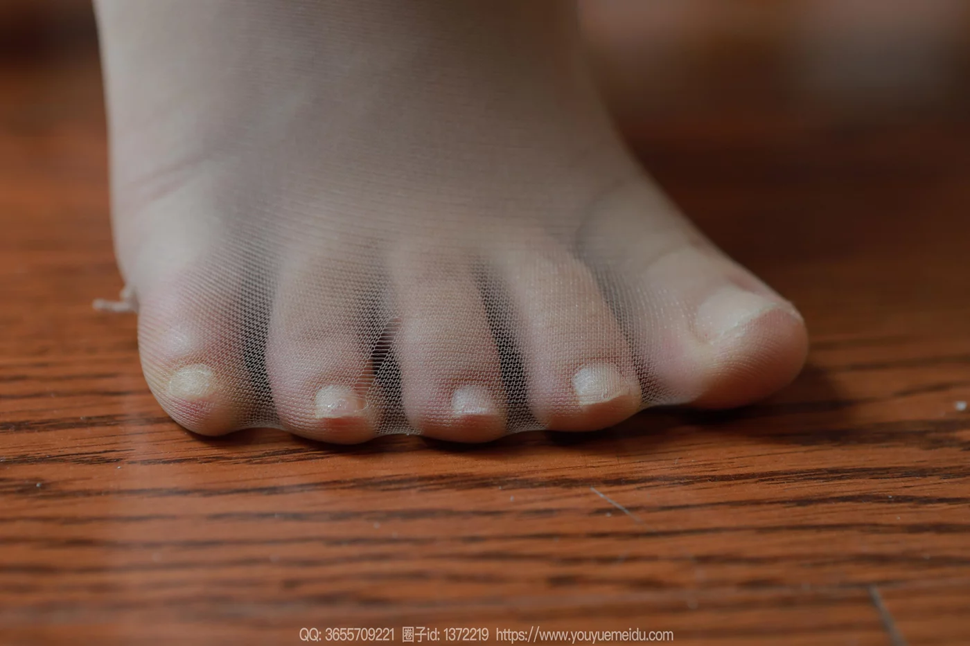 图片[53]-[IESS异思趣向] 2024.11.29 丝享家1911：小金《温婉如玉》[88P] – 速更版-美库