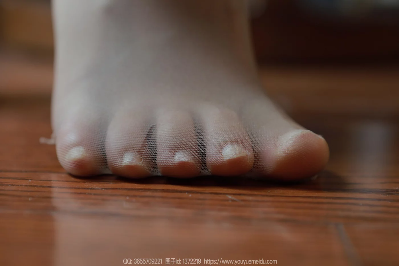 图片[54]-[IESS异思趣向] 2024.11.29 丝享家1911：小金《温婉如玉》[88P] – 速更版-美库