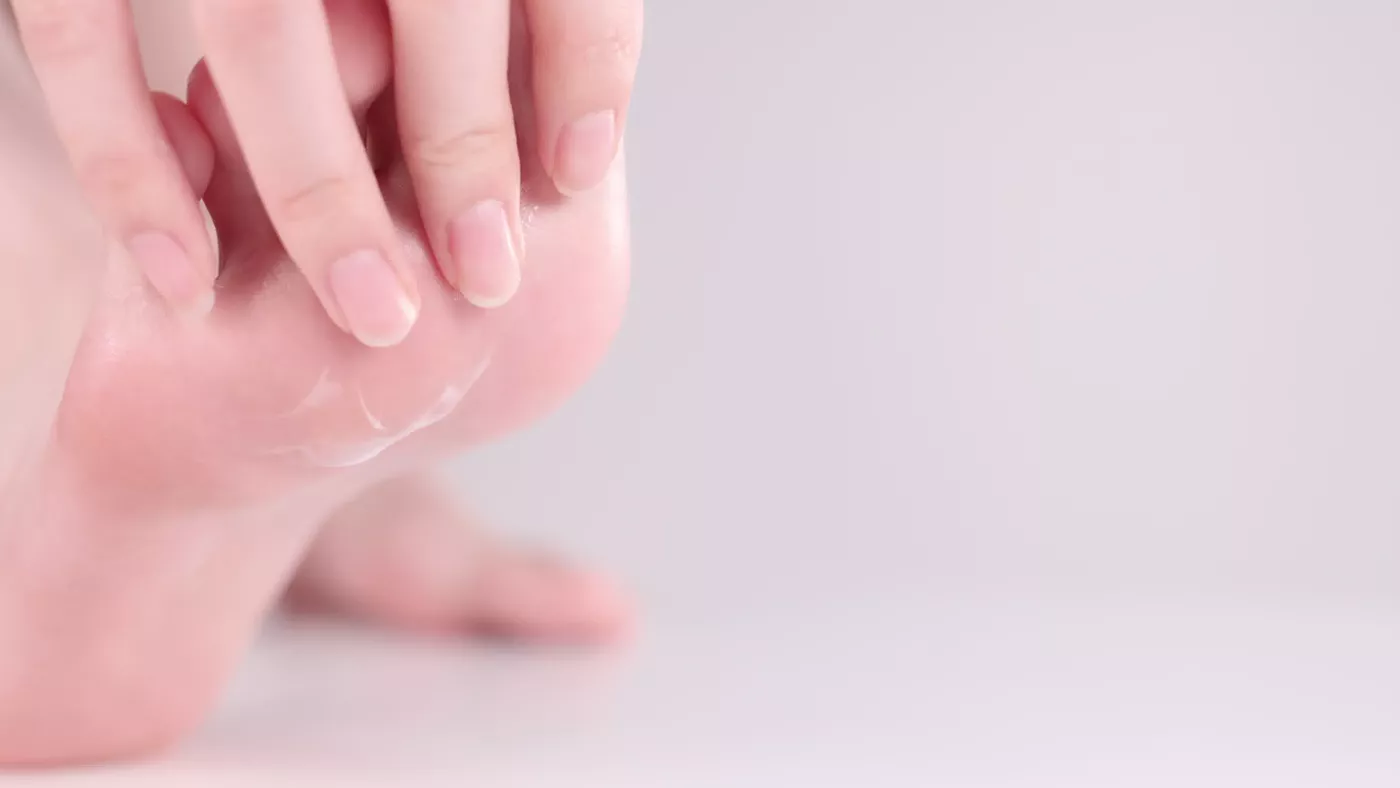 图片[15]-芝士好椰  – 简直是奶油般的优雅质感[20P] – 速更版-美库